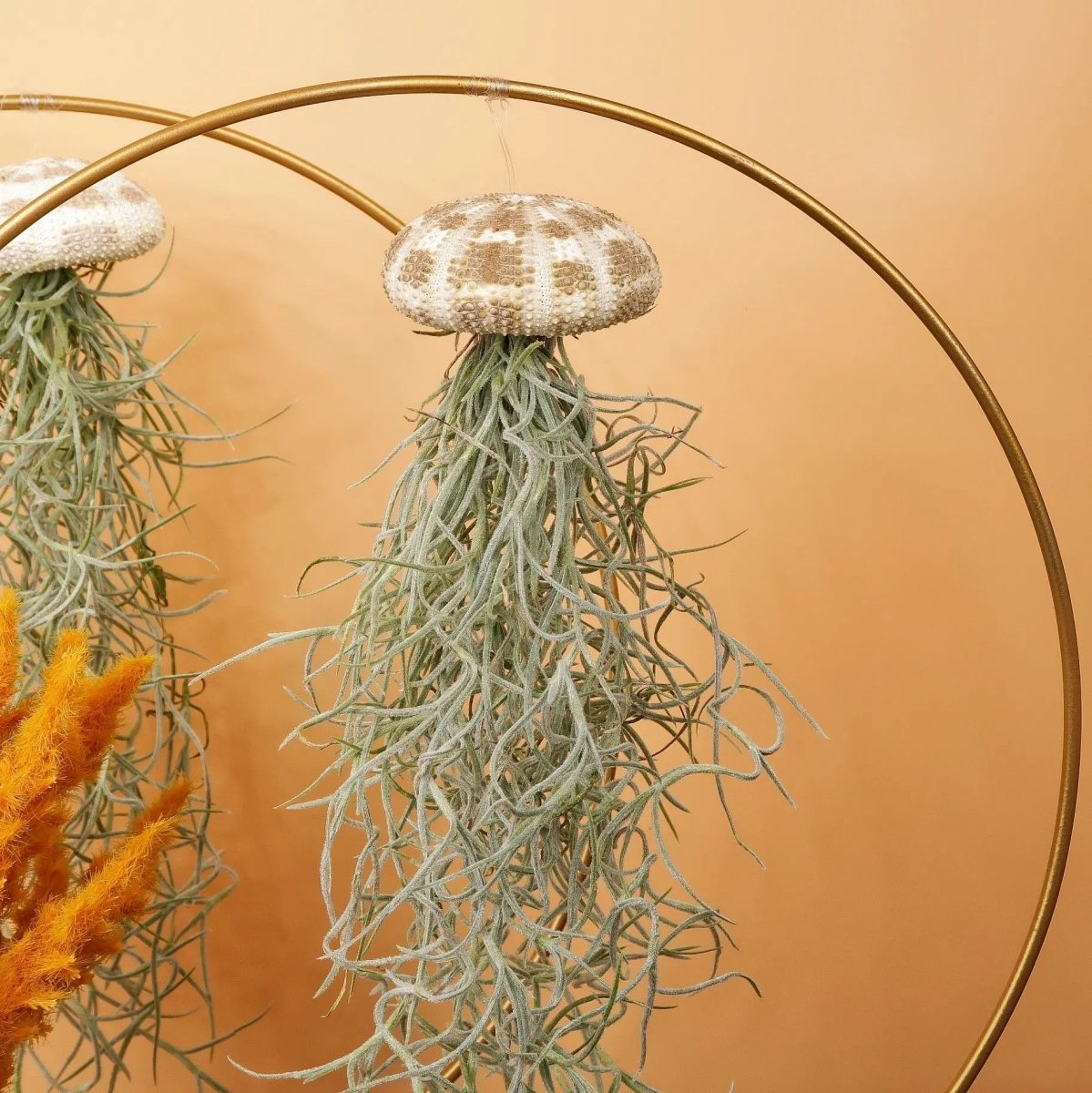 Airplant Holder Ring Gold – Ansicht 11