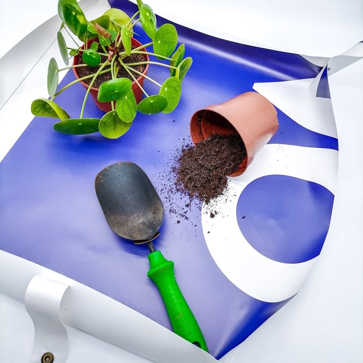Pflanzmatte Genoresa zum Umtopfen und Vermehren
