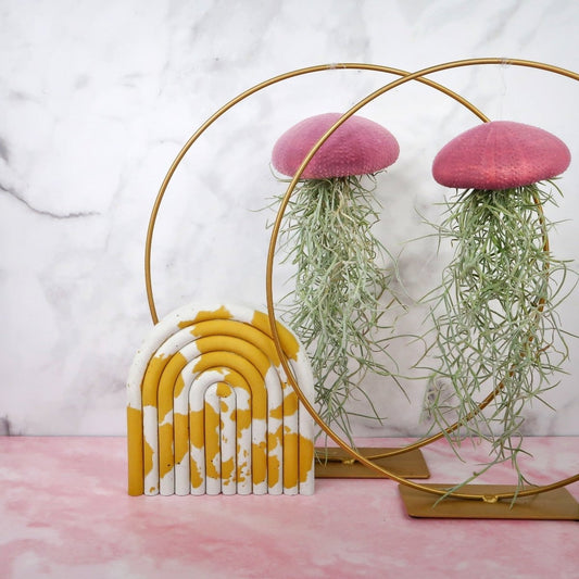 Tillandsia Usneoides Velvet Purple – hängende Luftpflanze – potflourri
