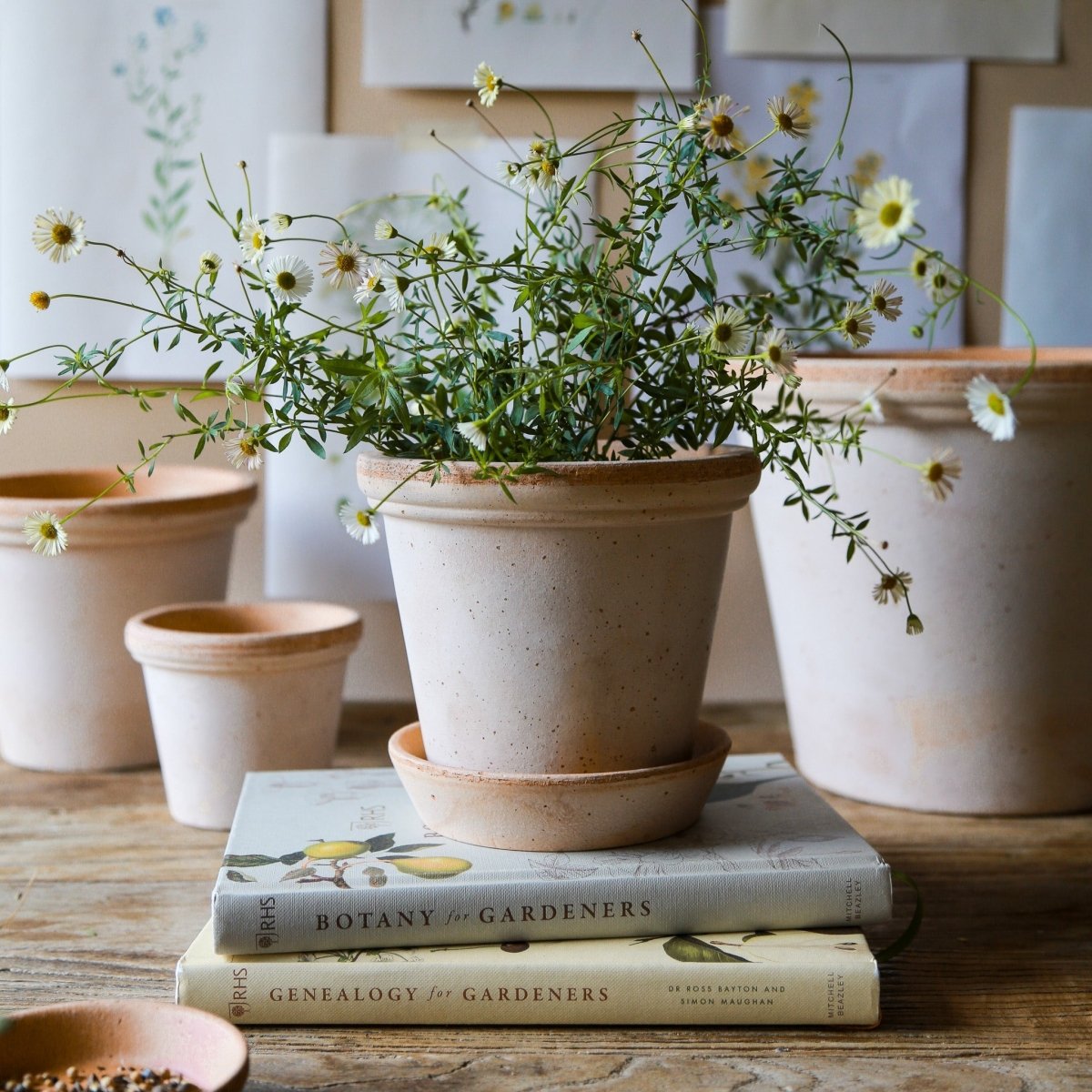 Übertopf Bergs Flora, Gesamtansicht