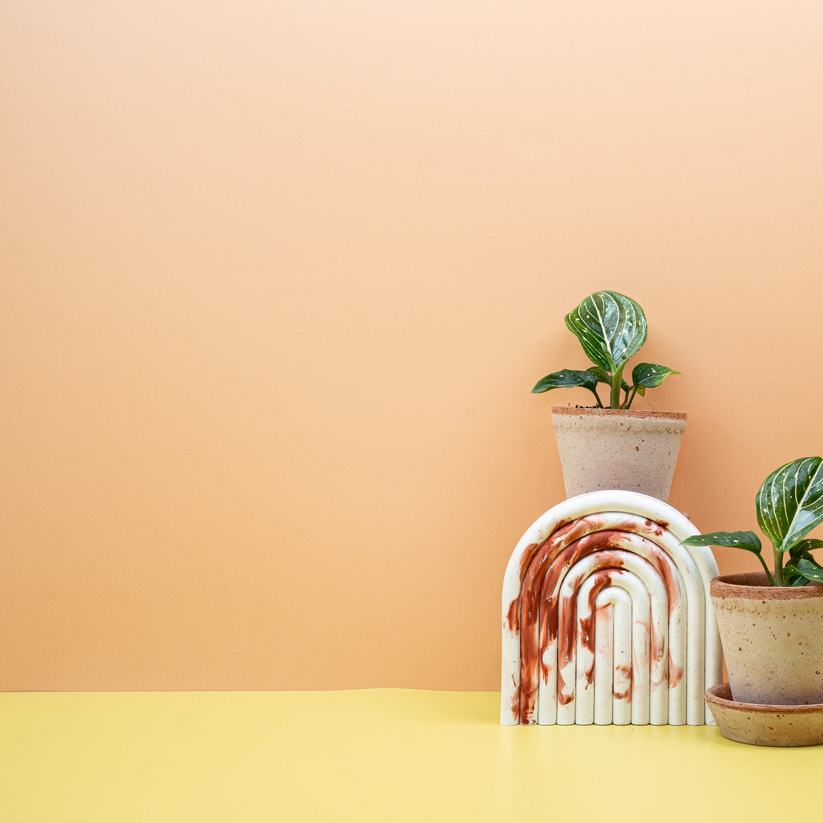 Aufrechter Wuchs mit schlanker Silhouette