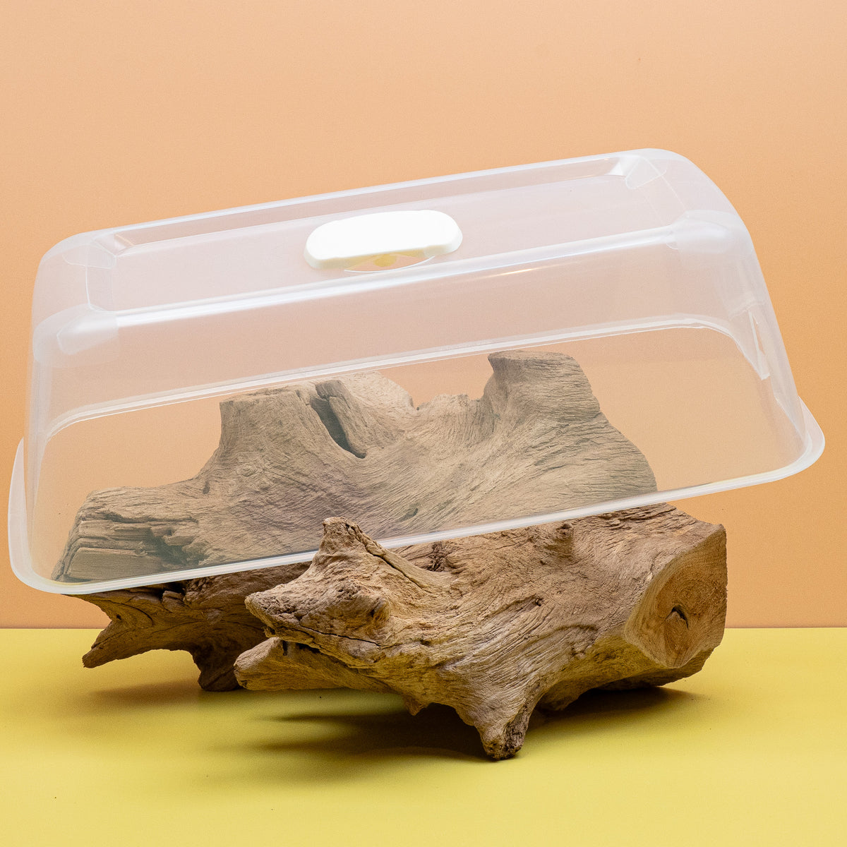Transparente, cremefarbene Haube hält Wärme und Feuchtigkeit