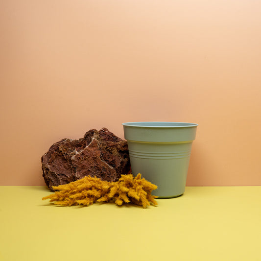 Anzuchttopf Elho Green Basic Steingrün – potflourri