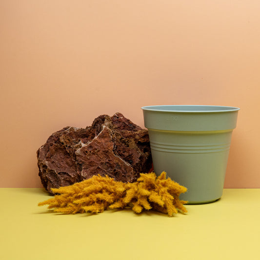 Anzuchttopf Elho Green Basic Steingrün – potflourri