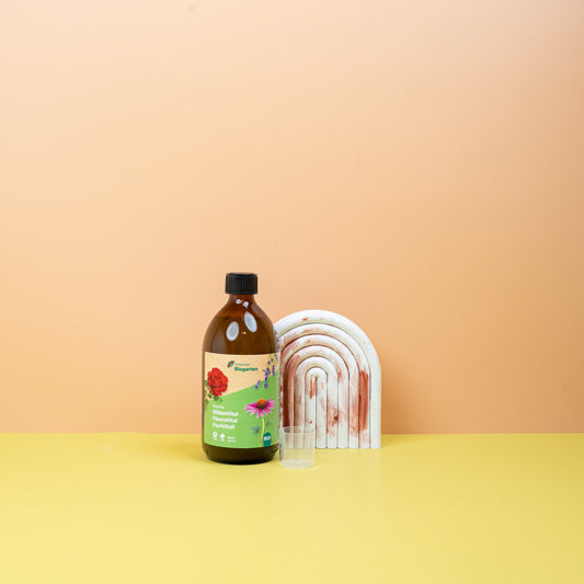 Andermatt BlütenVital mit Bacillus atrophaeus – potflourri