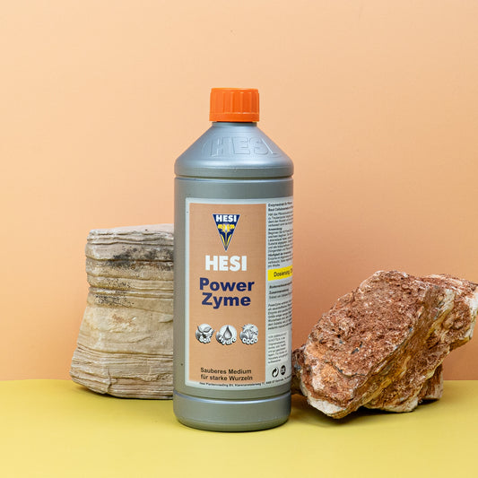 Dünger Hesi Power Zyme, Bodenverbesserer – potflourri