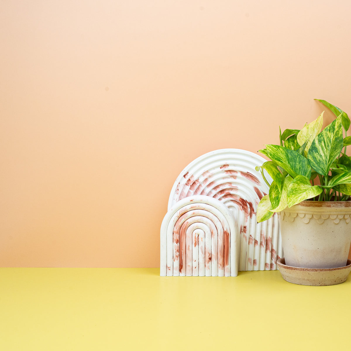 Epipremnum NJoy Gold, als Hänge- oder Kletterpflanze kultivierbar