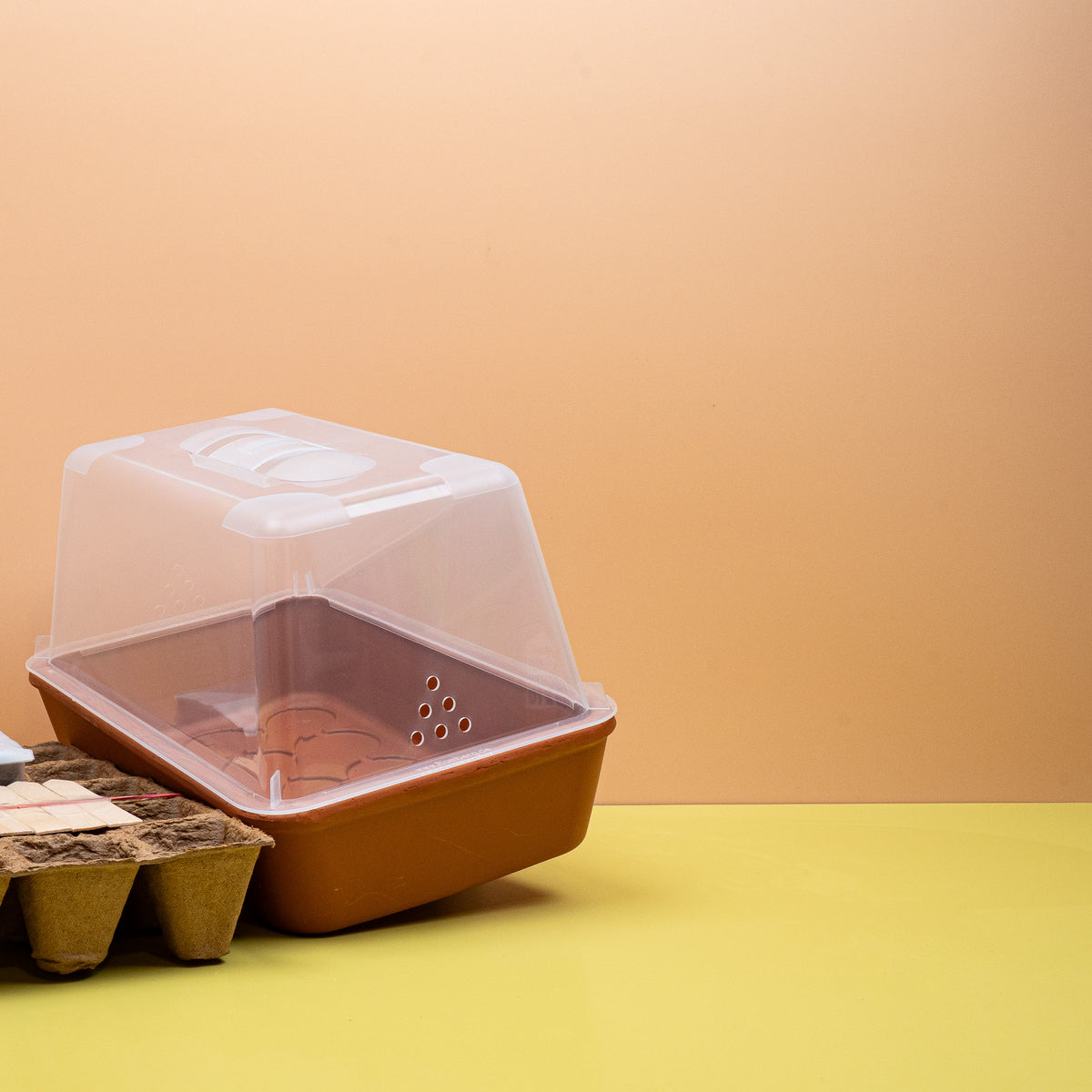 Anzuchtschale aus echtem Terrakotta mit transparenter Haube