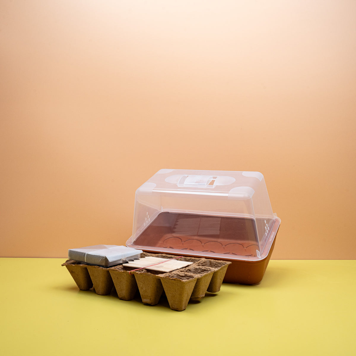Set mit biologisch abbaubaren Anzuchttöpfen und Holz-Pflanzenschildern
