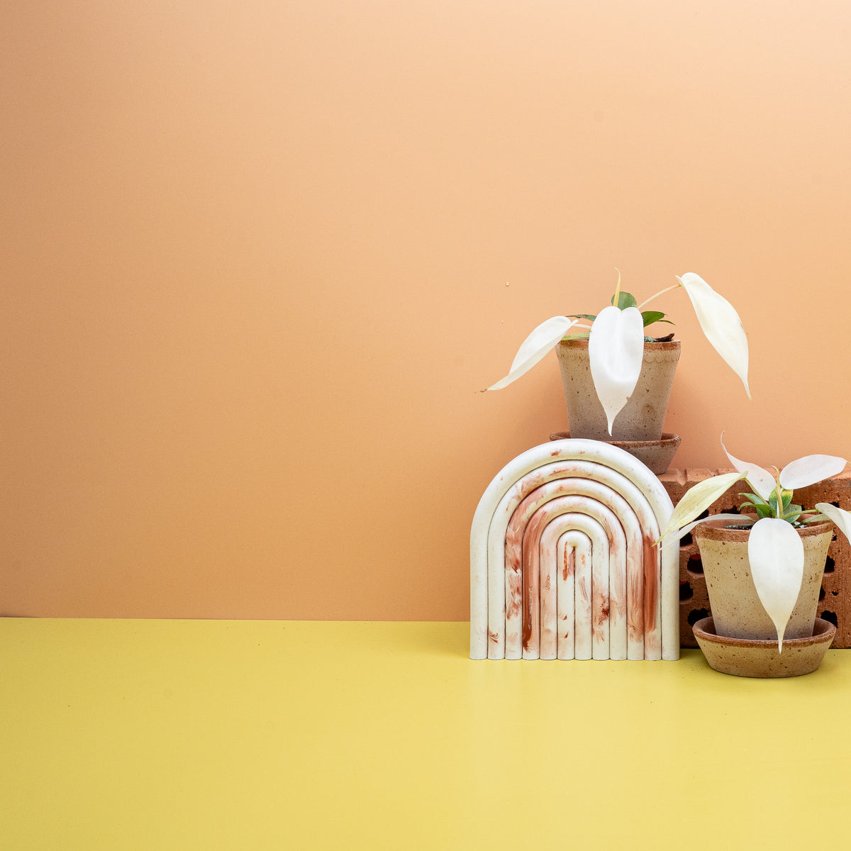 Philodendron Florida Ghost – Blatt mit Mintgrün-Anteilen – potflourri