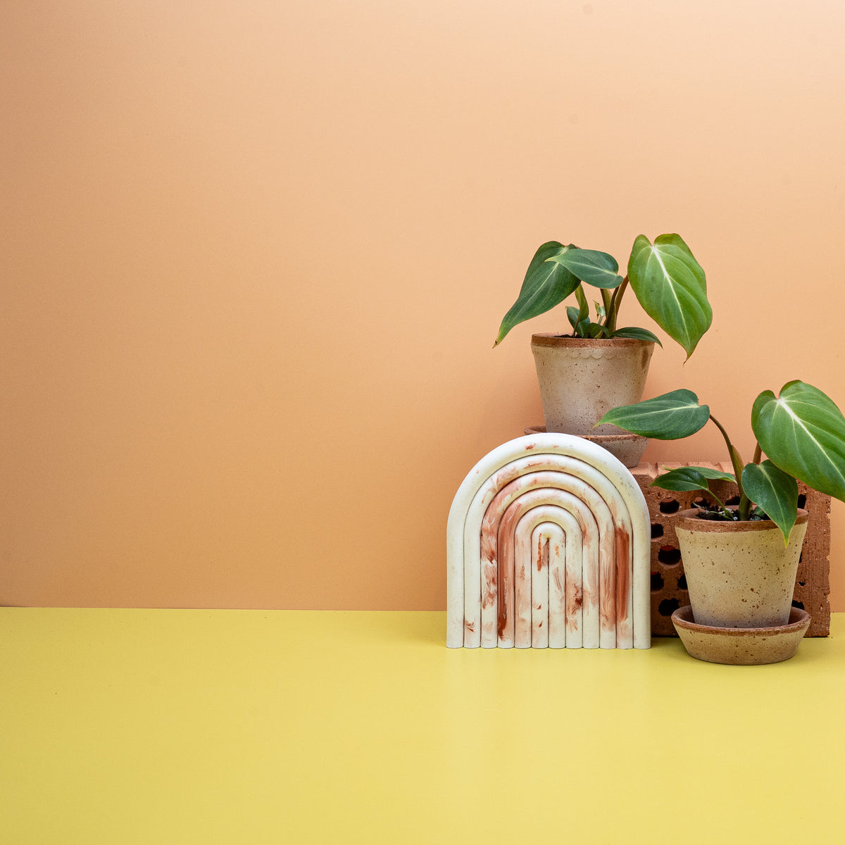 Philodendron Gloriosum, matte Samtoberfläche des Blattes