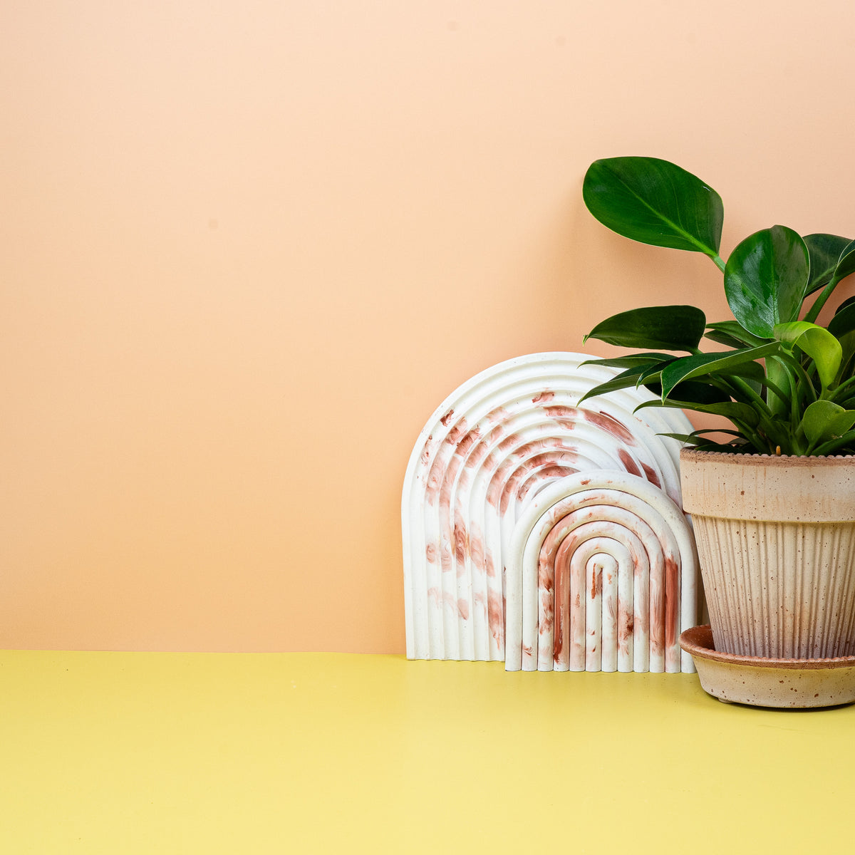 Philodendron Green Princess – üppiger Wuchs