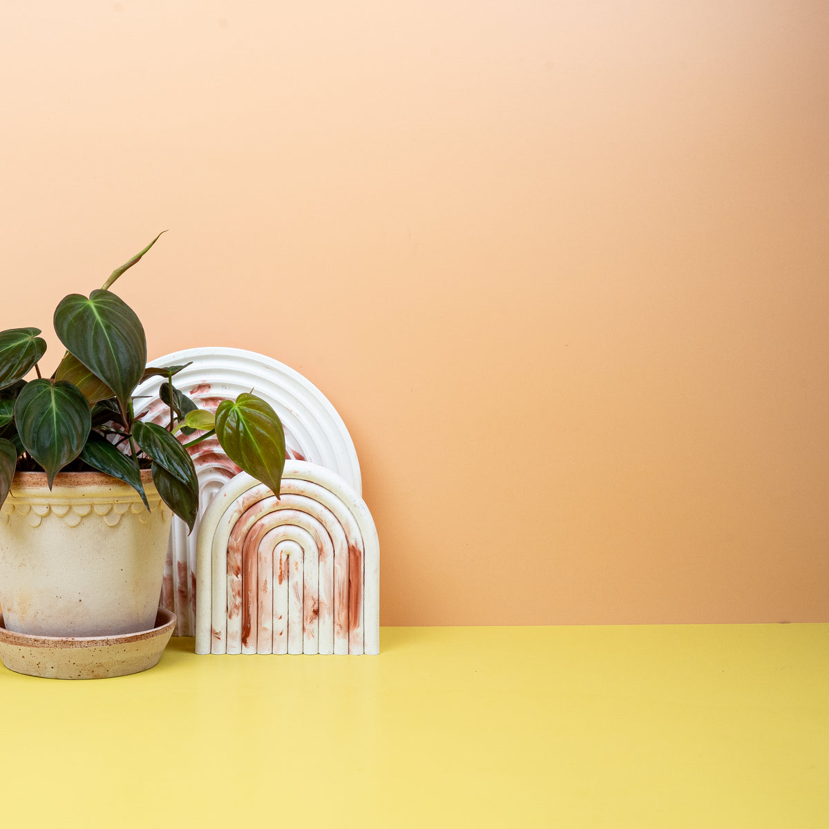 Philodendron Micans – funkelnder Grünton