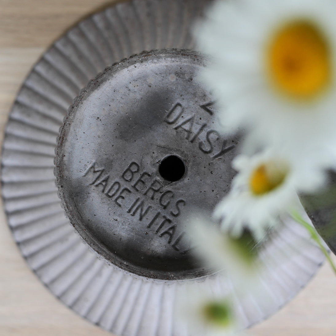 Übertopf Bergs Daisy mit zartem Wellenrand – potflourri