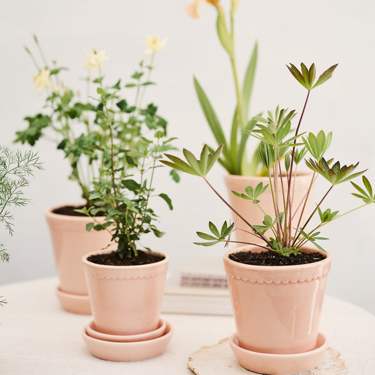 Blumentopf BERGS HELENA aus Terrakotta – Ansicht 13