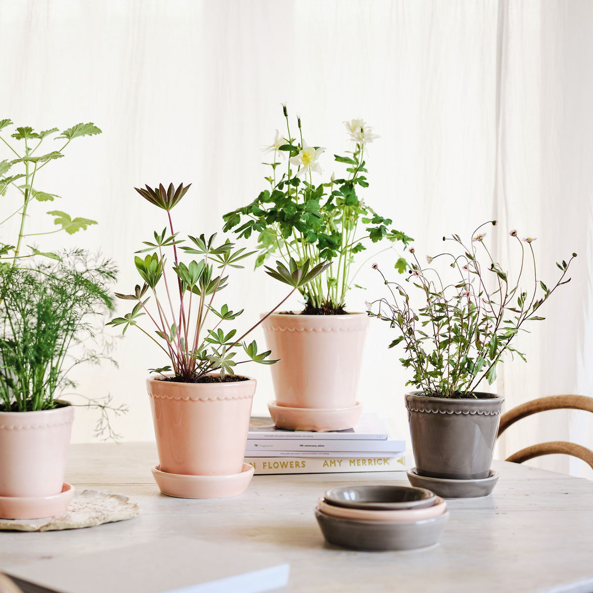 Blumentopf BERGS HELENA aus Terrakotta – Ansicht 17
