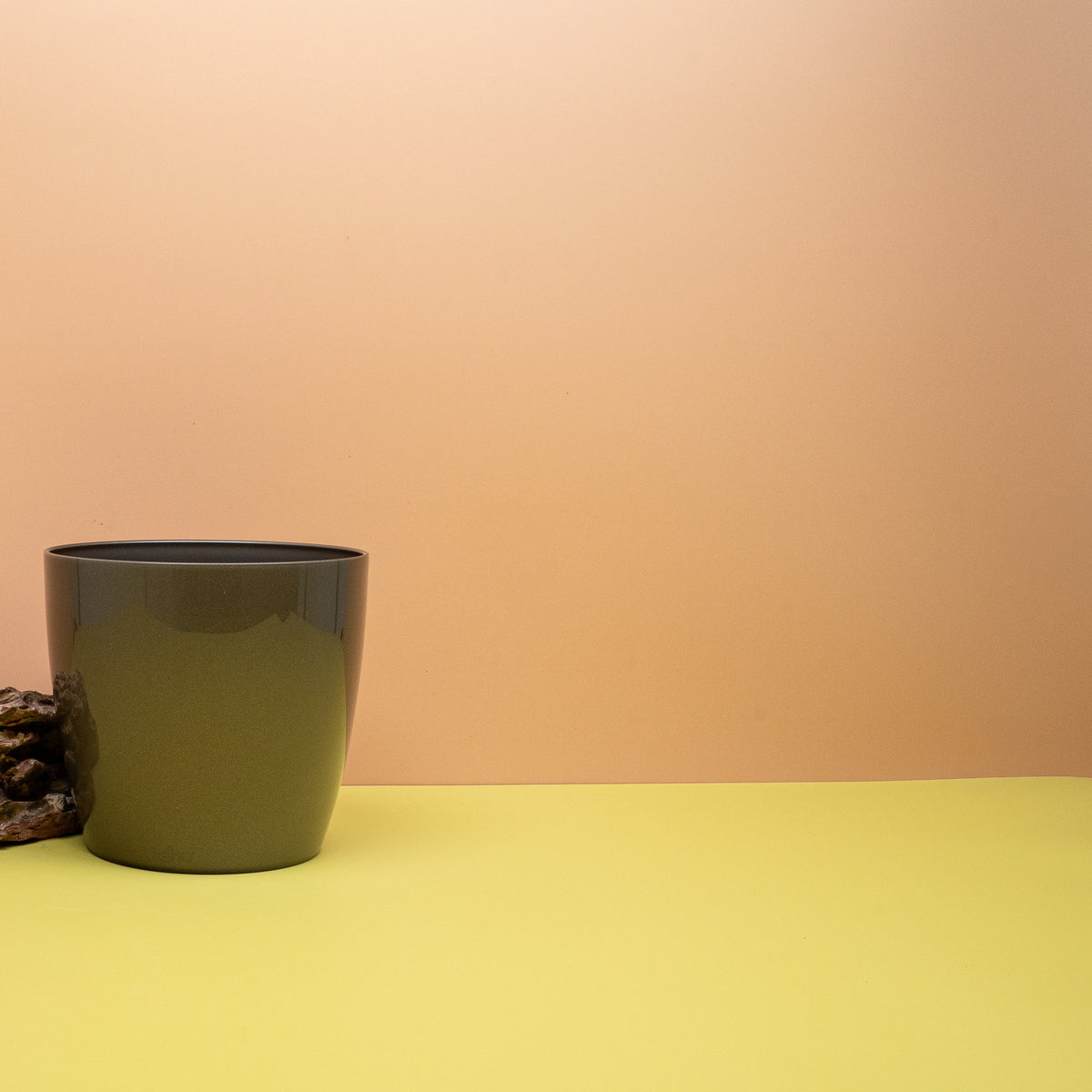Ideal für Scindapsus, Aglaonema und Alocasien