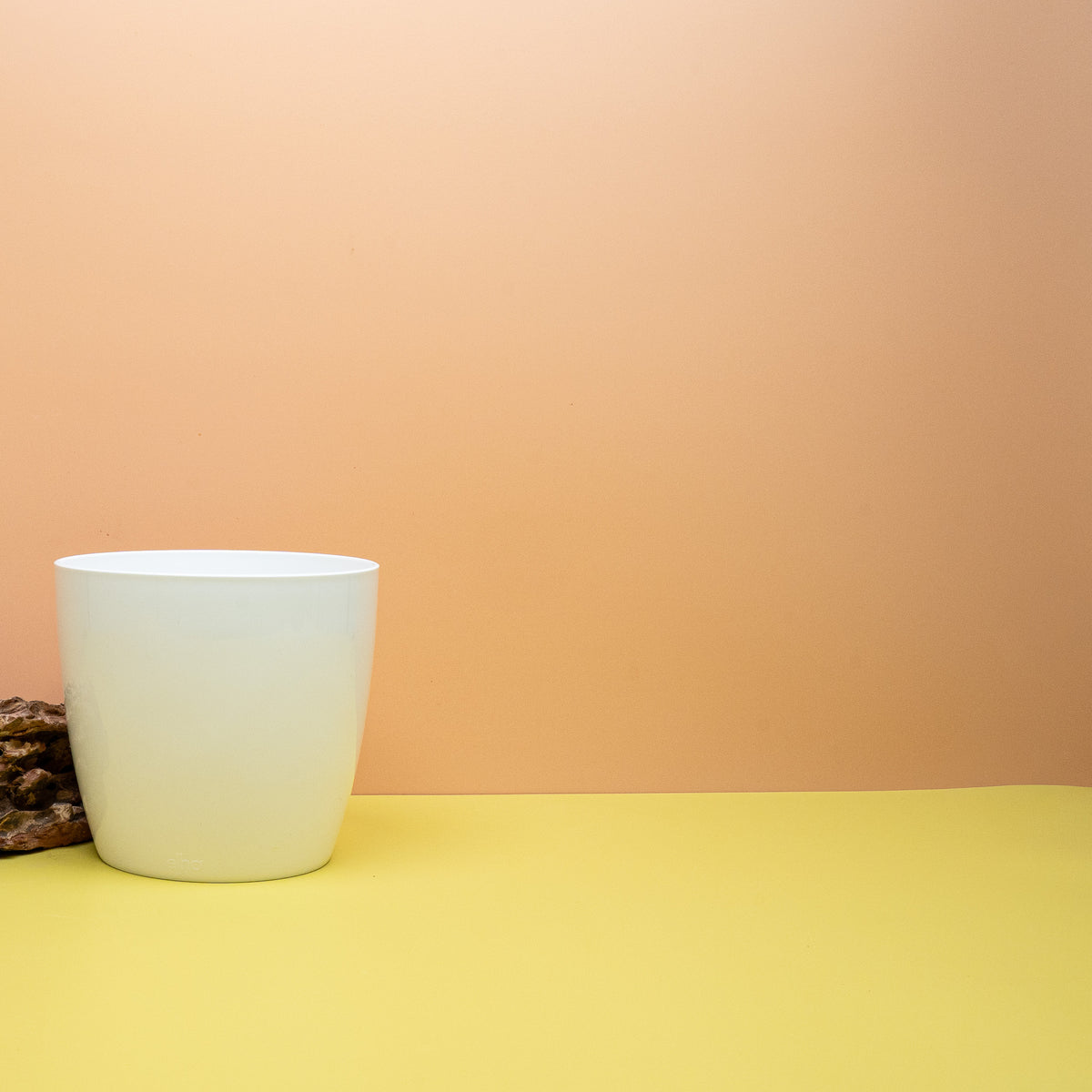 Ideal für Alocasien, Monstera und Anthurien