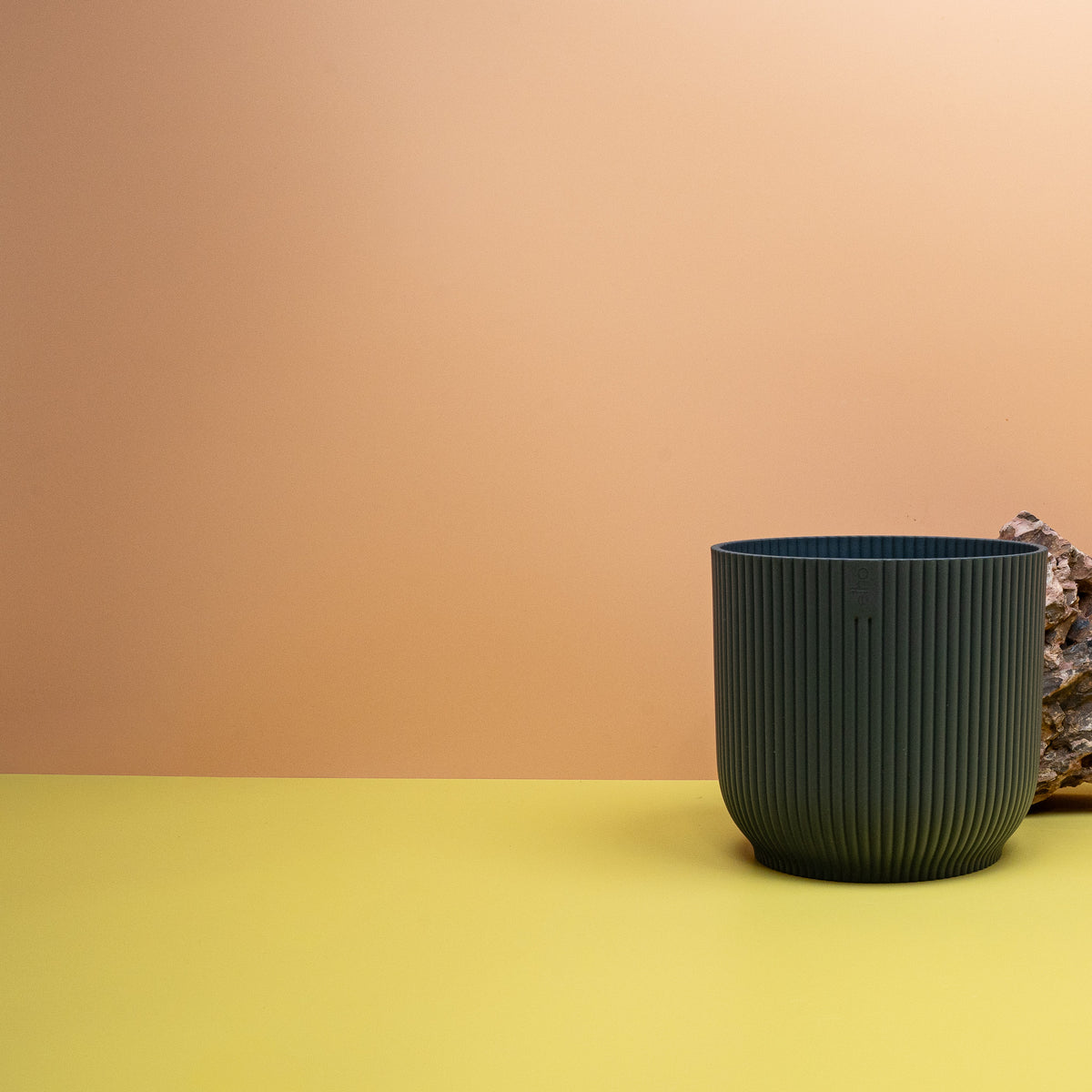 Ideal für Scindapsus, Monstera und Alocasien