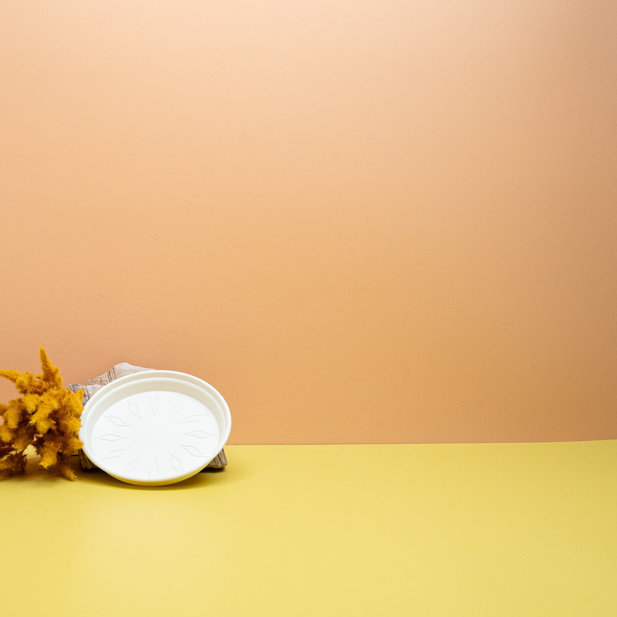 Abgestimmte Größen für Green Basic Anzucht- und Orchideentöpfe