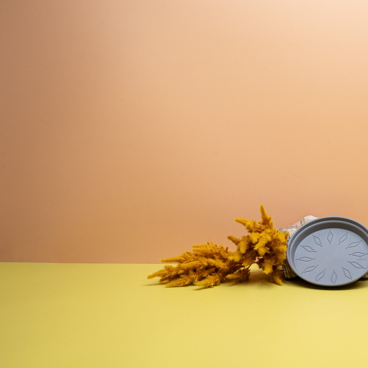 Abgestimmte Größen für Green Basic Anzucht- und Orchideentöpfe