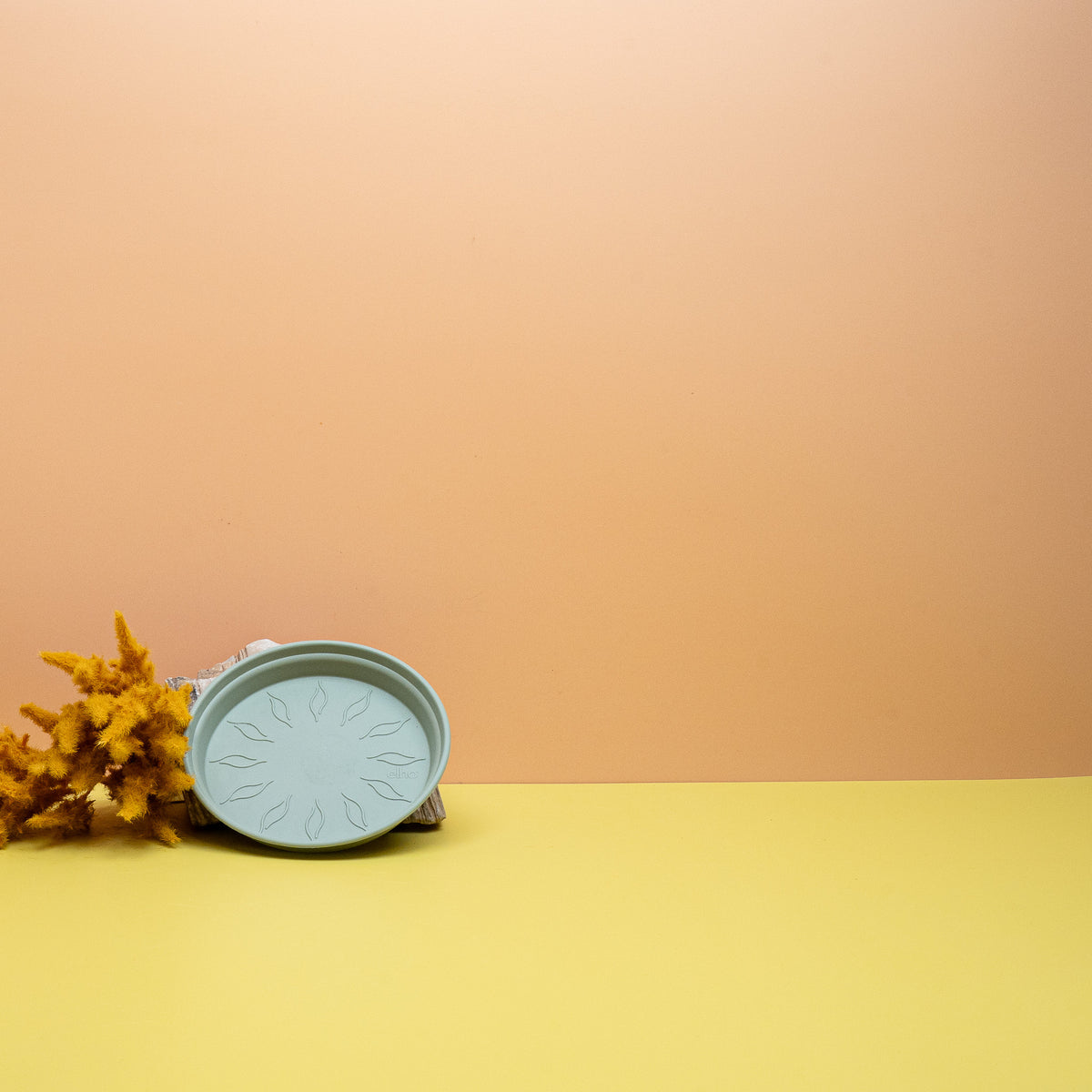 Abgestimmte Größen für Green Basic Anzucht- und Orchideentöpfe
