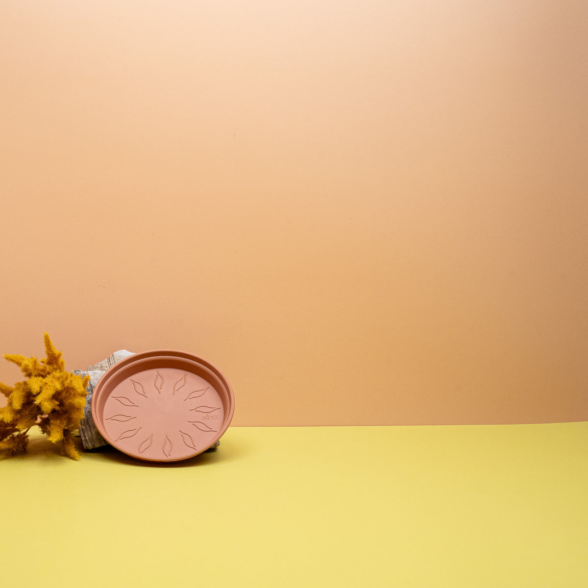 Abgestimmte Größen für Green Basic Anzucht- und Orchideentöpfe