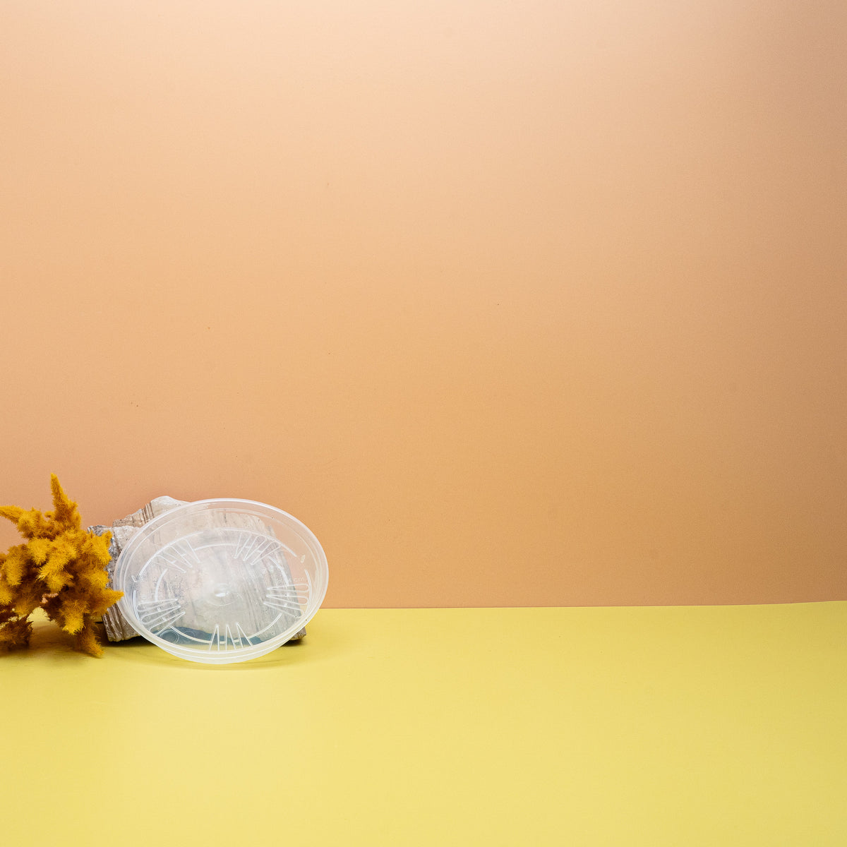 Ideal für Zimmerpflanzen, Kräuter und Orchideen