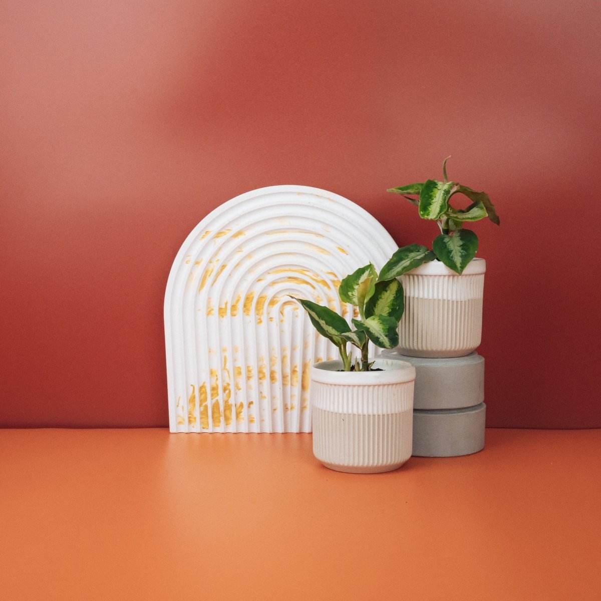 Aglaonema Tricolor, Blattmuster aus mehreren Grüntönen – potflourri