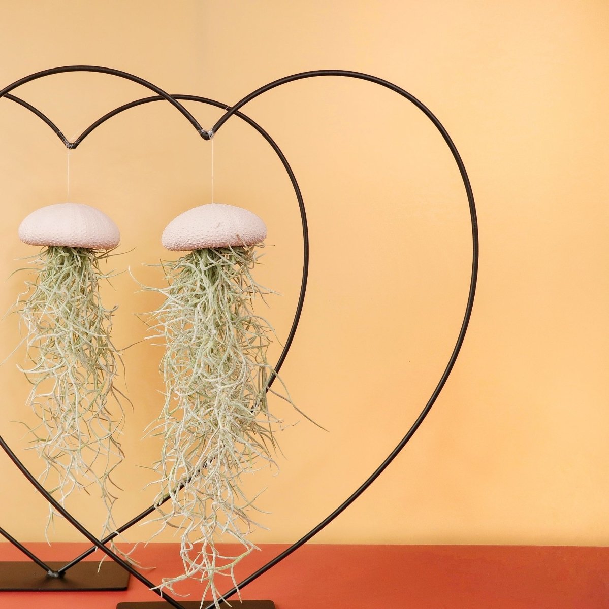 Airplant Holder Heart Black – Ansicht 8