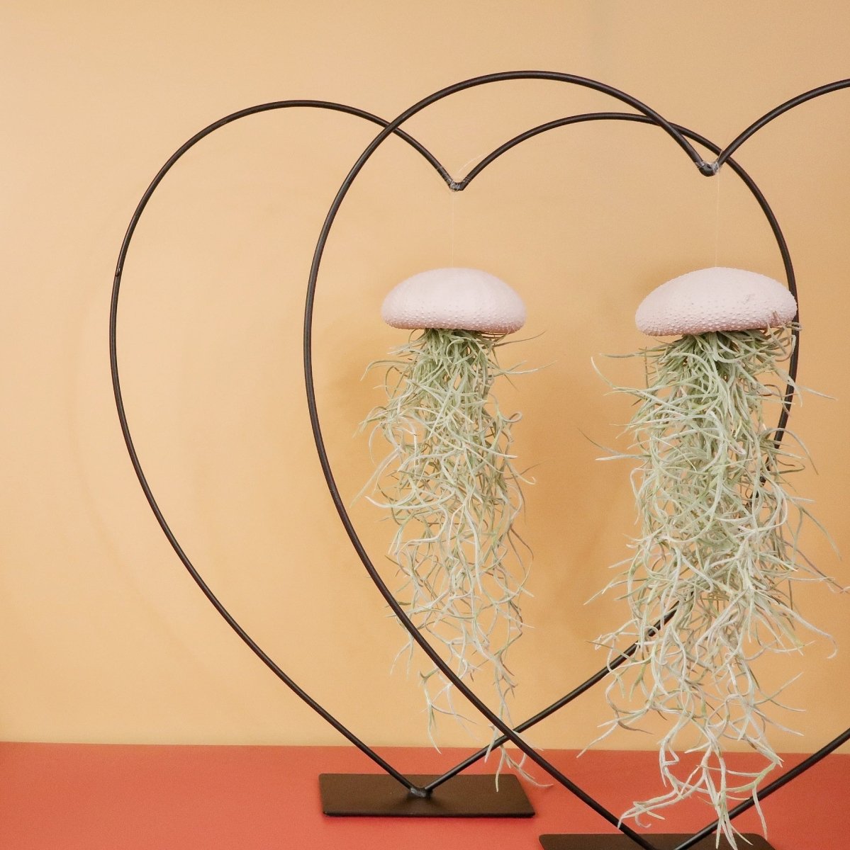 Airplant Holder Heart Black – Ansicht 7