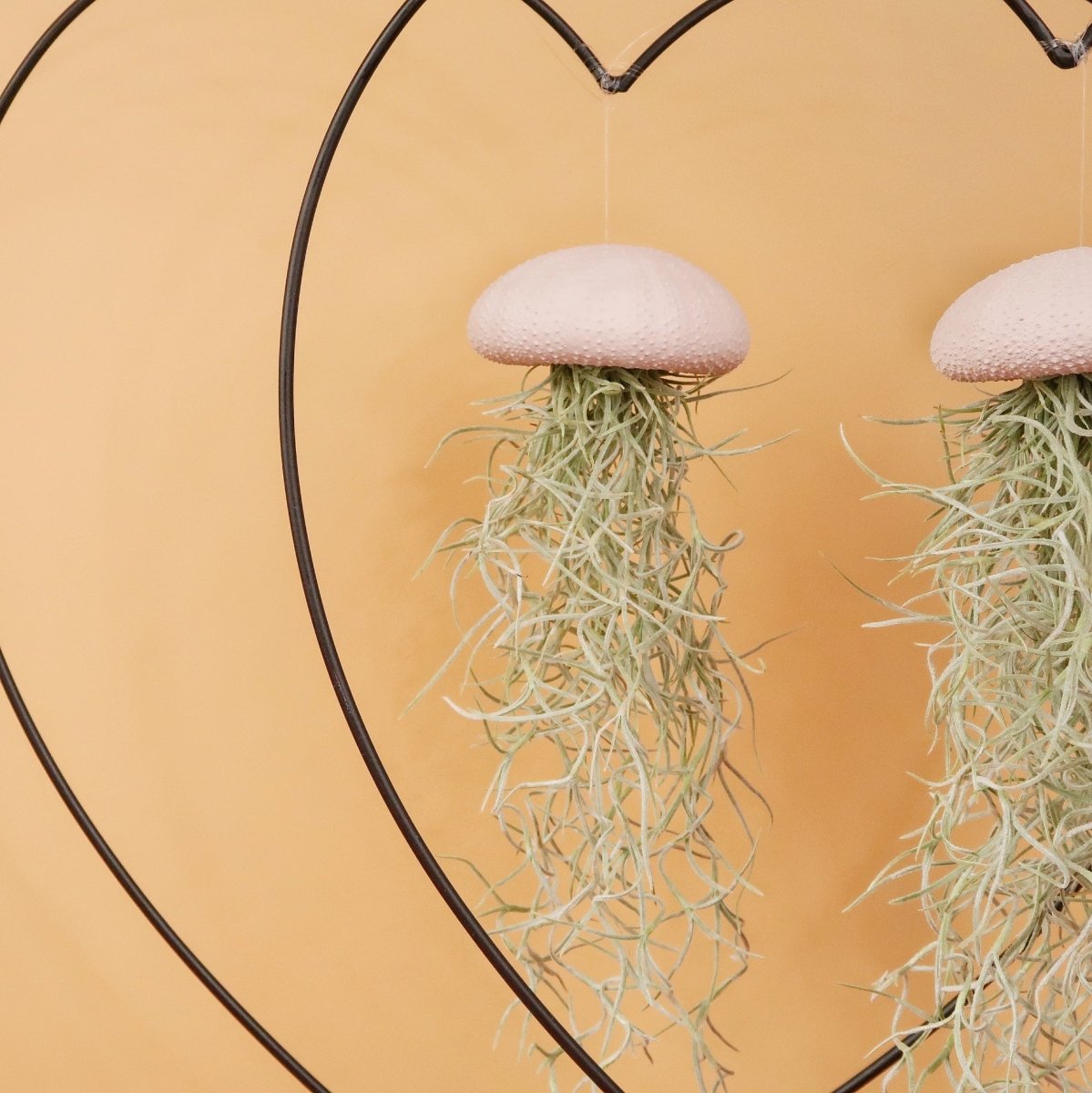 Airplant Holder Heart Black – Ansicht 9