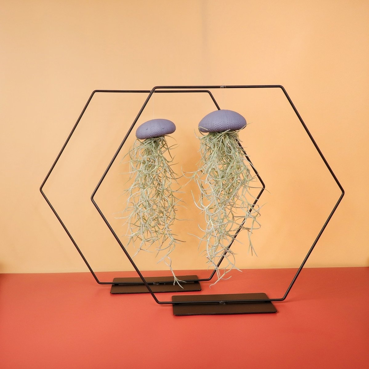 Airplant Holder Hexagon Black – Ansicht 6