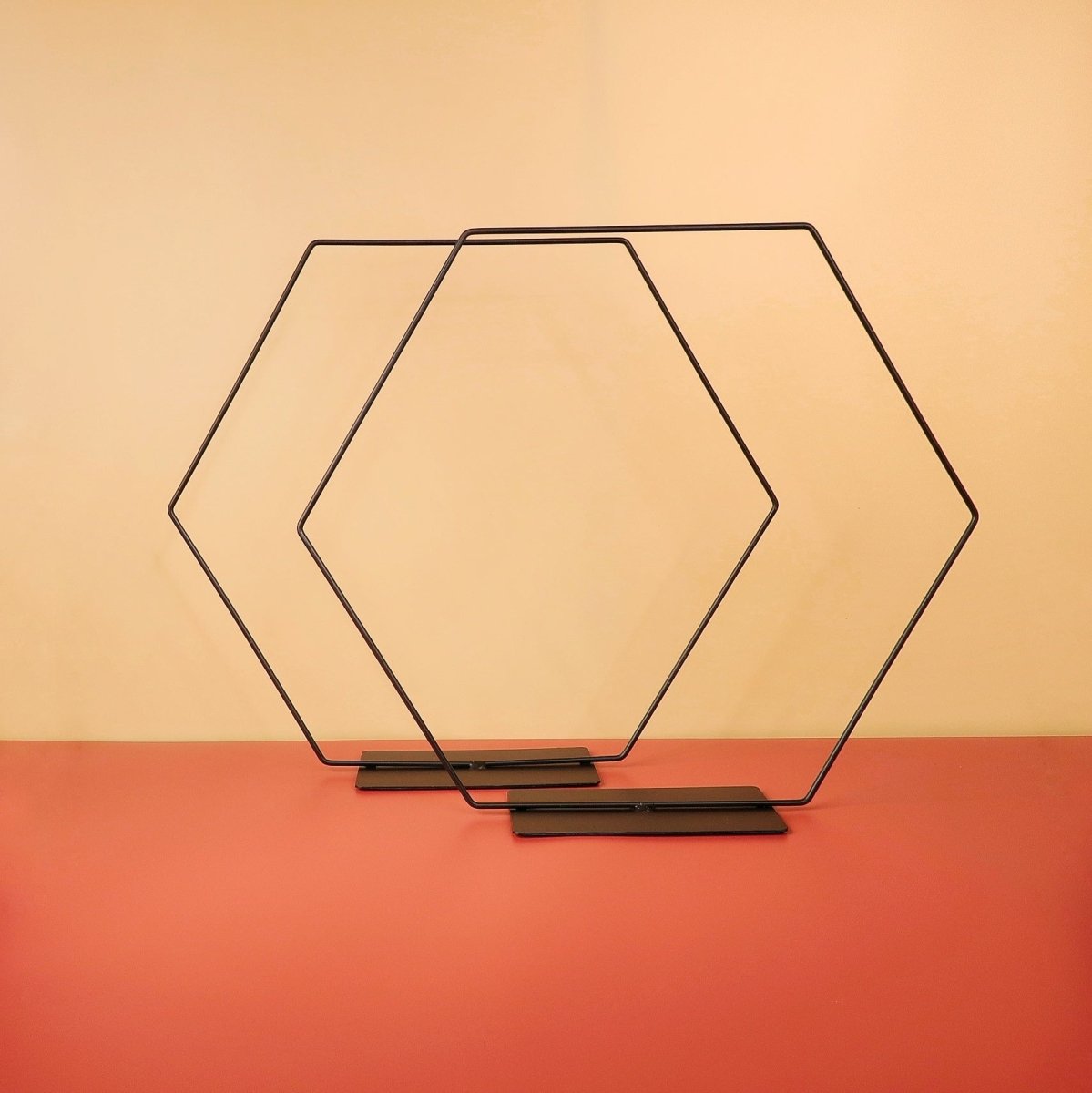 Airplant Holder Hexagon Black aus robustem Metall – potflourri