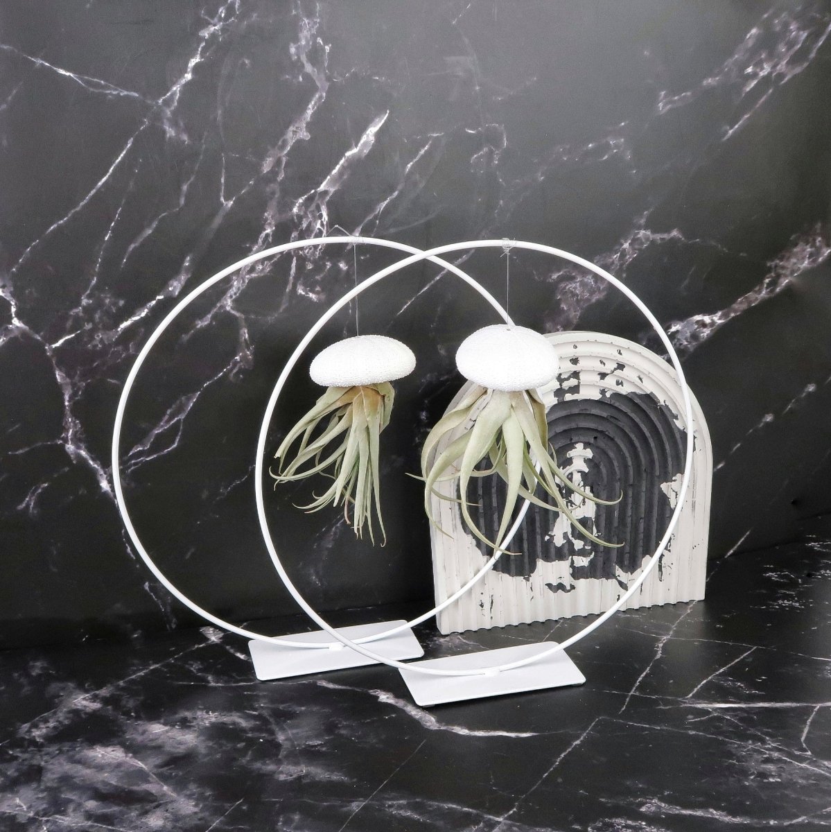 Luftpflanzen-Zubehör: weißer Ring-Halter aus Metall