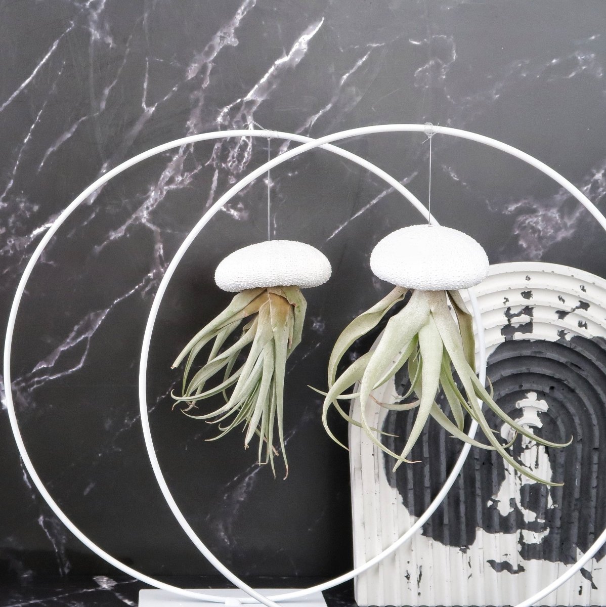 Ring White Airplant Holder – Deko-Halter für Luftpflanzen