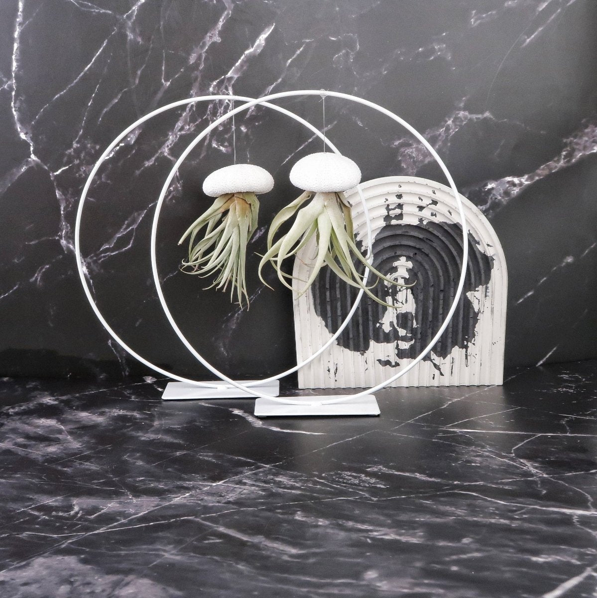 Airplant Ring-Halter in Weiß für Luftpflanzen-Deko