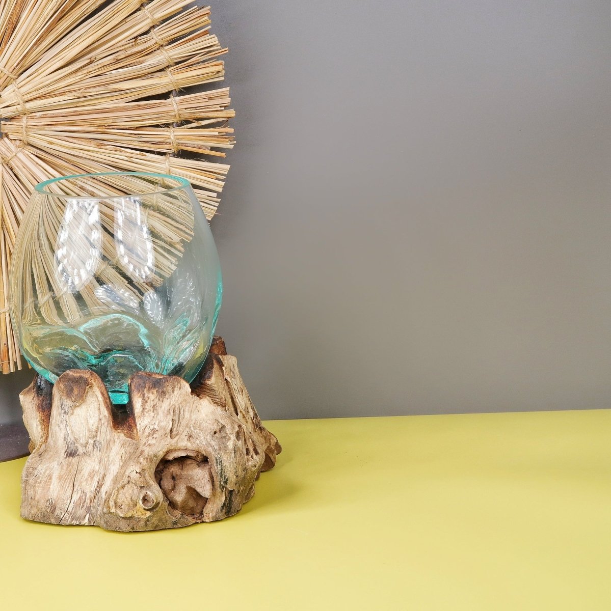Airplant Holder Root Alvsbyn, 15 cm hoch, 15 cm breit