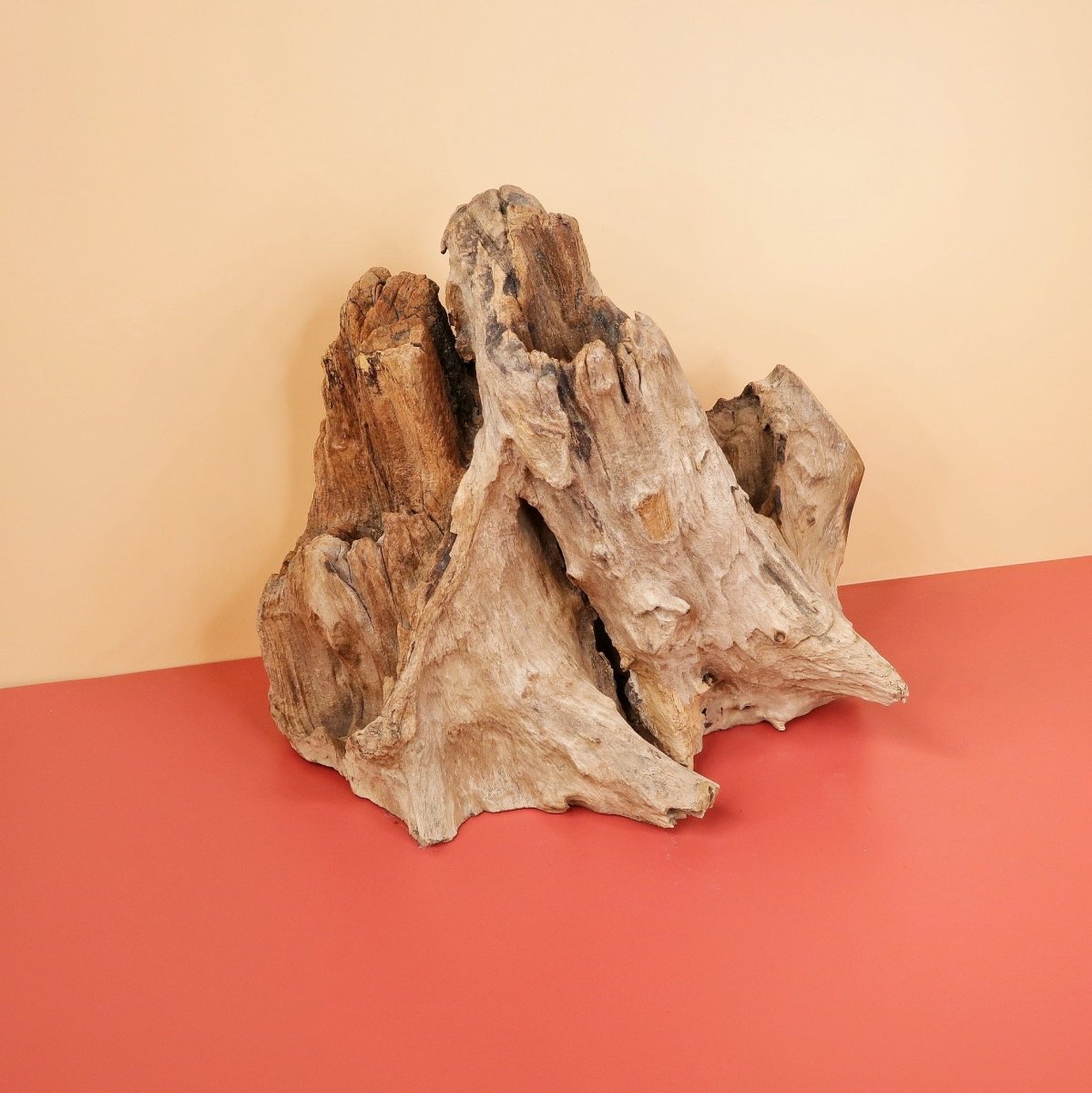 Airplant Holder Root Kouvola für Luftpflanzen