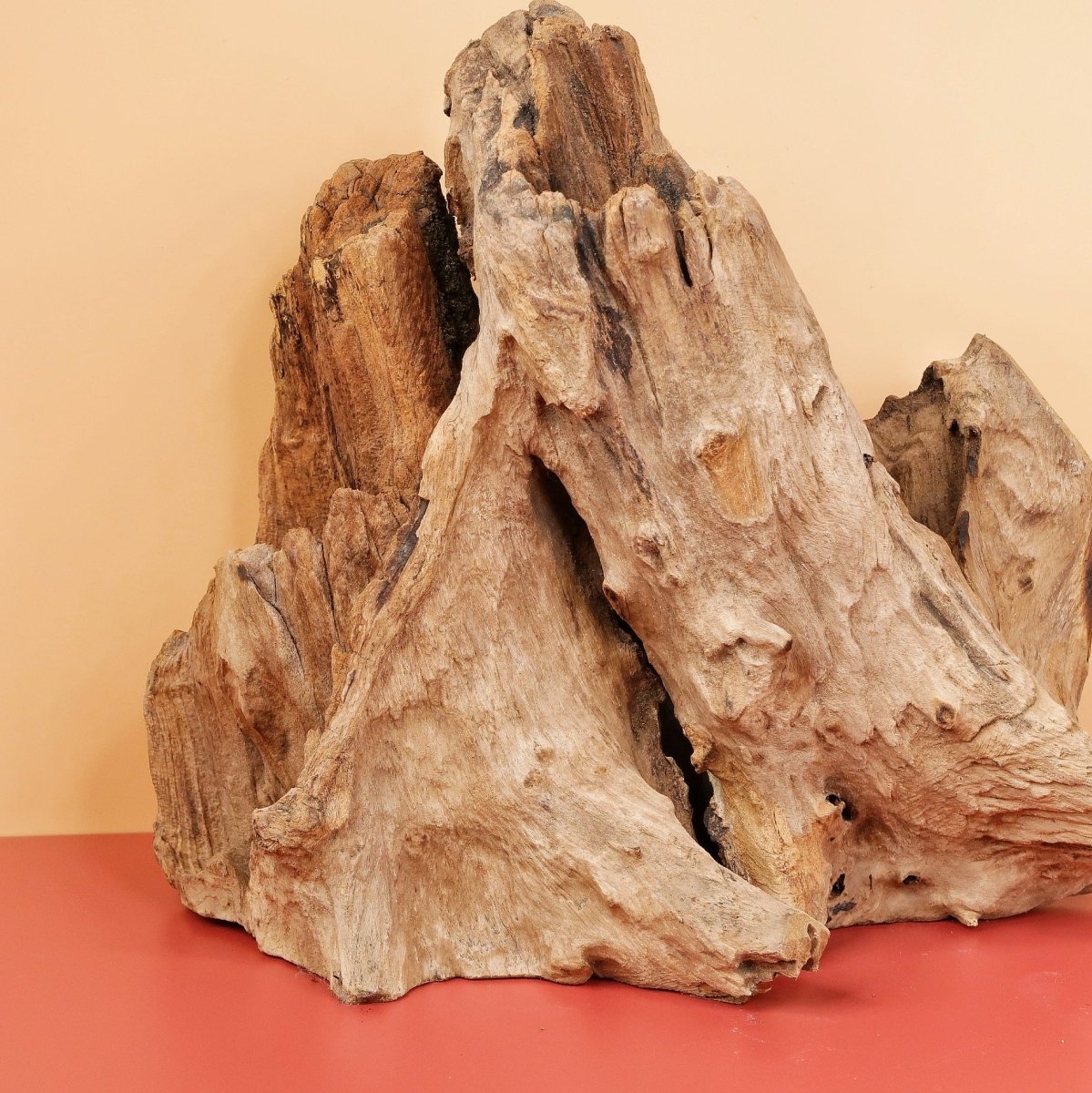 Airplant Holder Root Kouvola, edle Holzstruktur