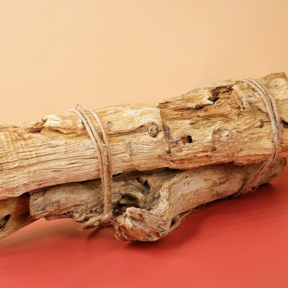 Airplant Holder Root Levanger für Luftpflanzen
