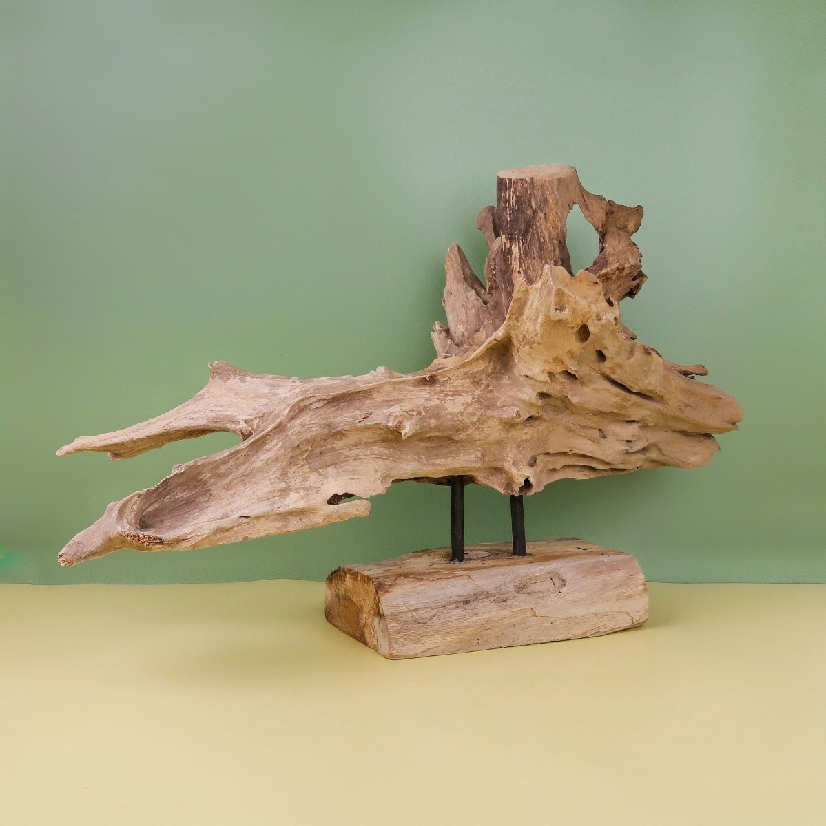 Airplant Holder Root Narvjk aus Teakwurzel – potflourri