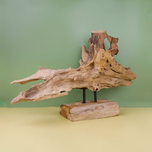 Airplant Holder Root Narvjk aus Teakwurzel – potflourri