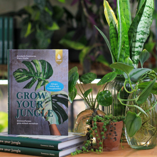 Buch Grow Your Jungle, Ratgeber zur Pflanzenvermehrung – potflourri