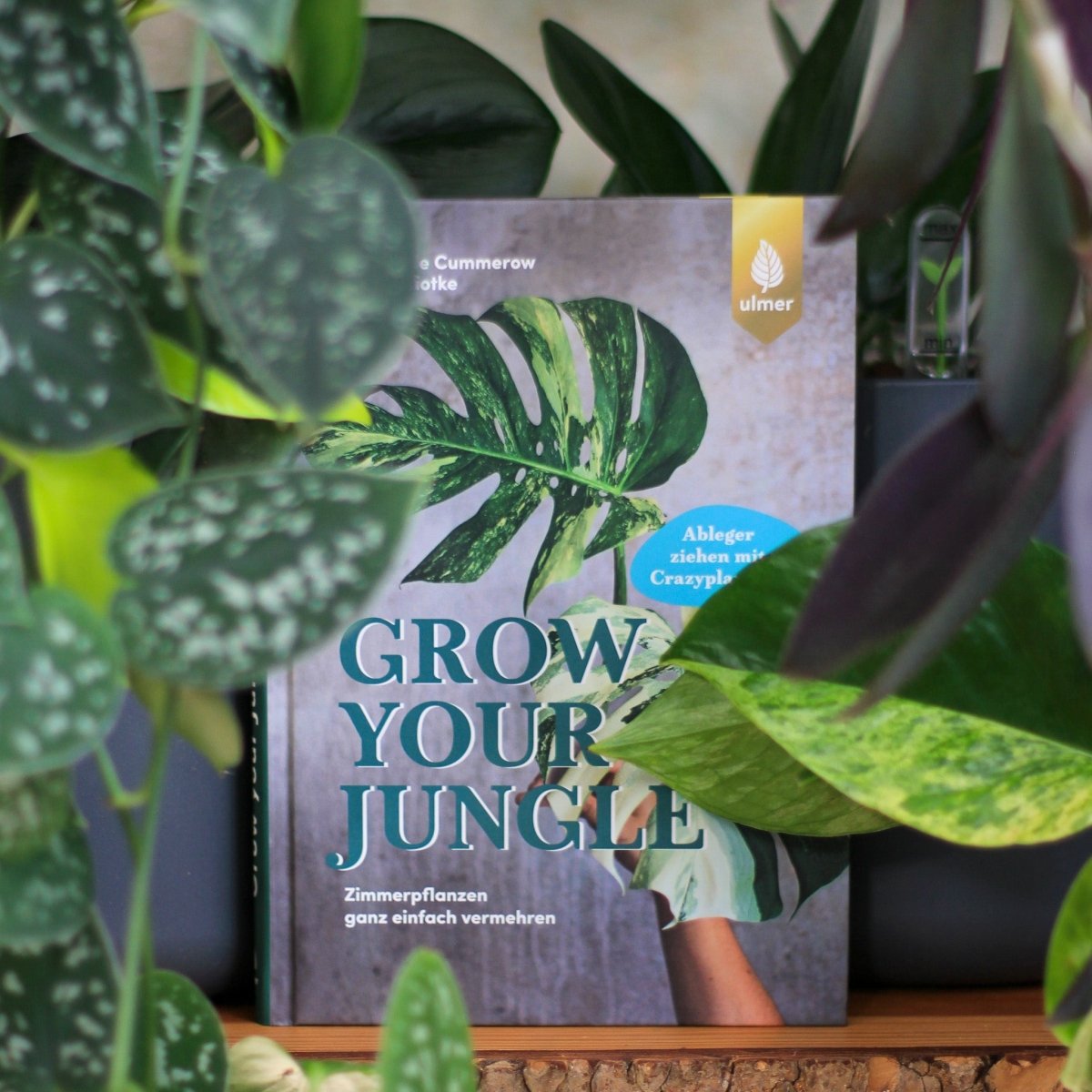 Buch Grow Your Jungle, Gesamtansicht