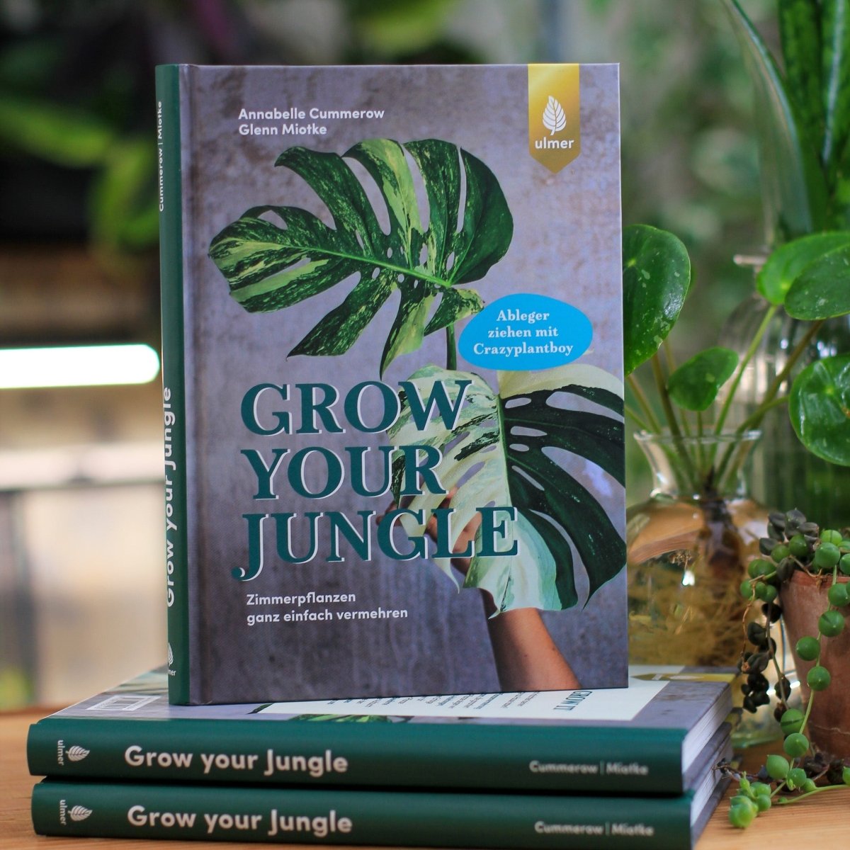 Buch Grow Your Jungle, Ratgeber zur Pflanzenvermehrung – potflourri