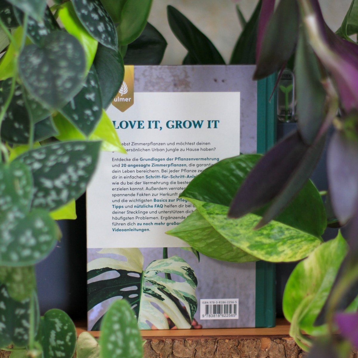 Buch Grow Your Jungle, QR-Codes für ergänzende Inhalte
