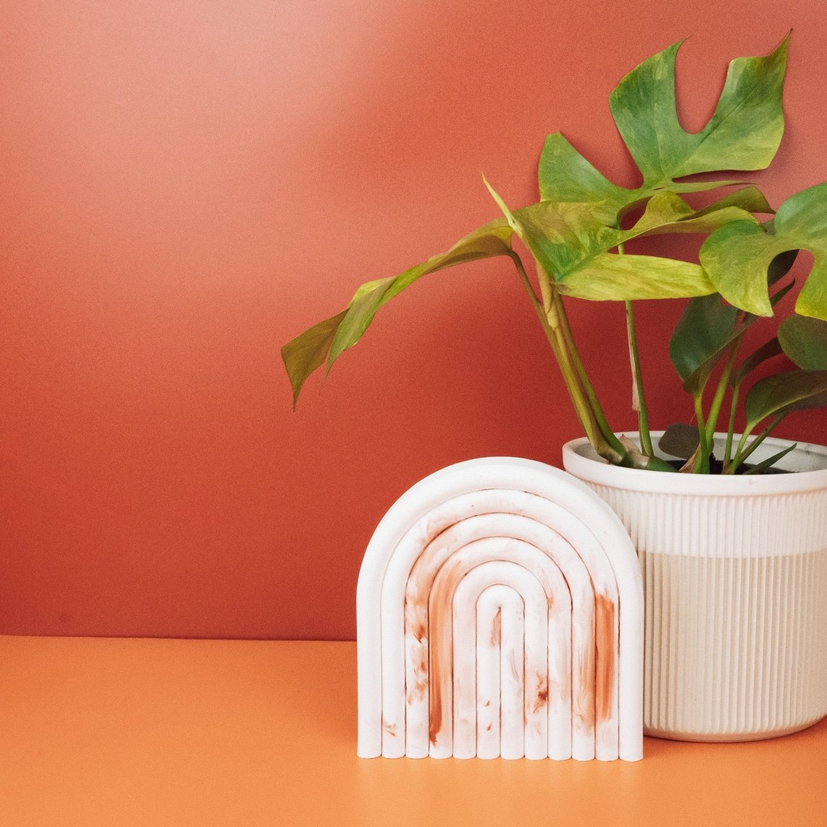 Monstera Minima Variegata, kompakte Kletterpflanze für Regale