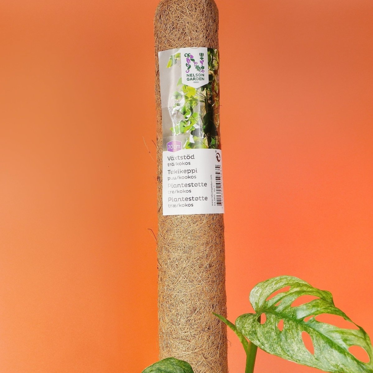 Pflanzenstütze Nelsongarden Kokosstab, Normal Höhe 70 cm