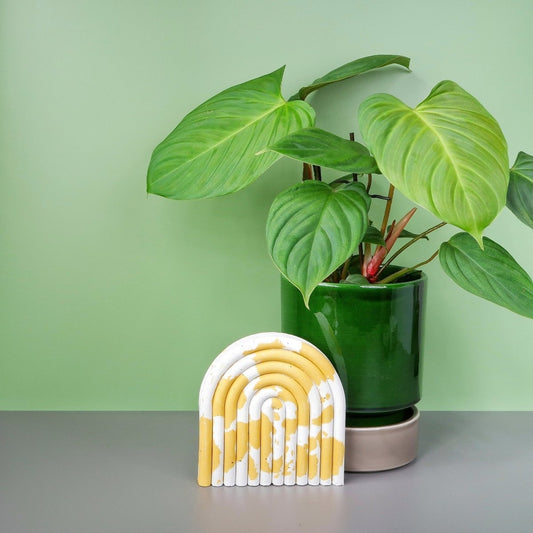 Philodendron Nangaritense – Zimmerpflanze mit rotem Blattstiel – potflourri